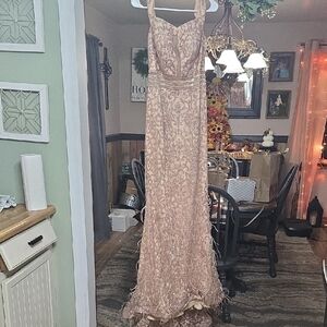 Jovani Blush Lace Gown